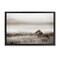 Stupell Industries Resting Lion in Savanna Grass Floating Frame By Danita Delimont